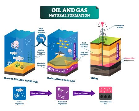formazione del petrolio