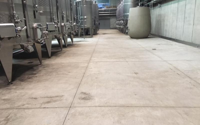 cantina vinicola pavimento cemento