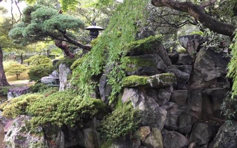 giardino stile giapponese