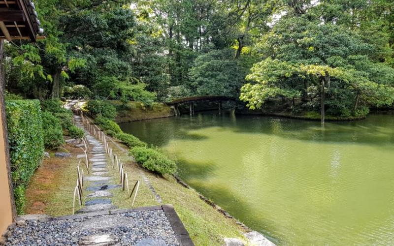 Passi giapponesi utilizzati in un percorso che attraversa un giardino