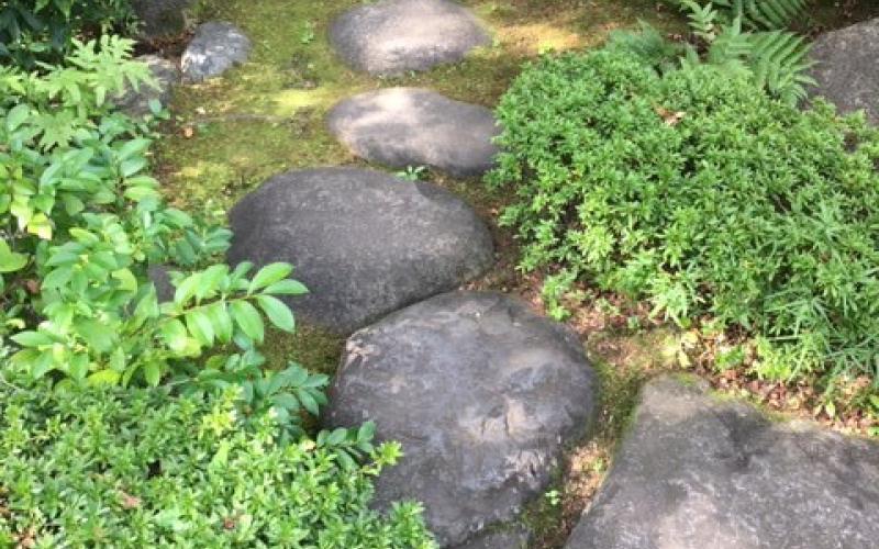 Percorso di pietre su giardino