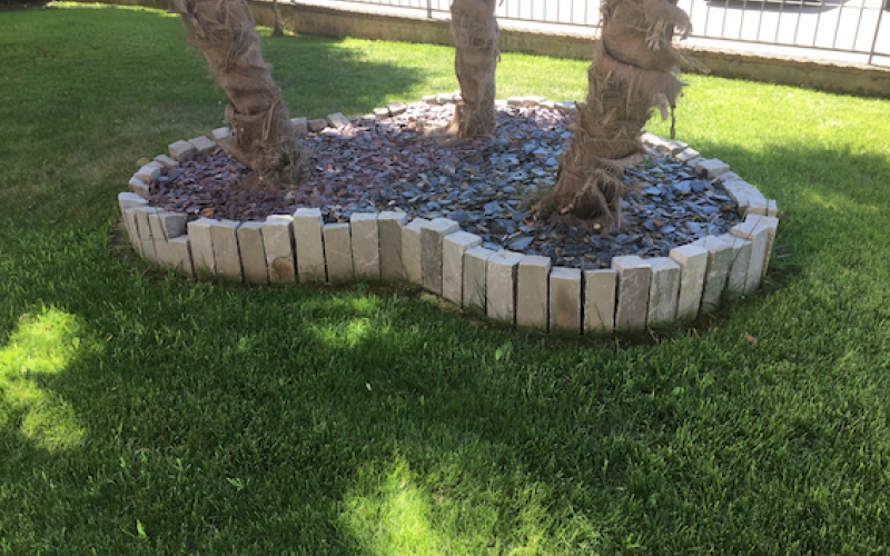 Flowerbed made of vertical stone and dark pebbles