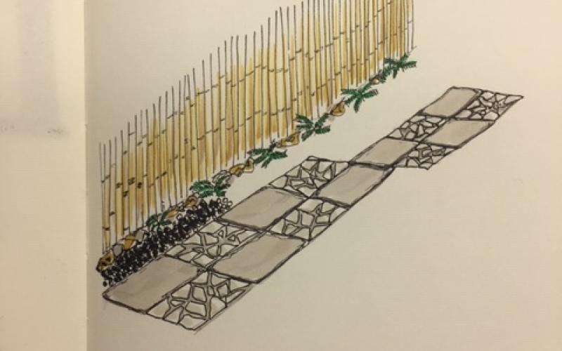Percorso tra il bamboo: un vialetto pedonale