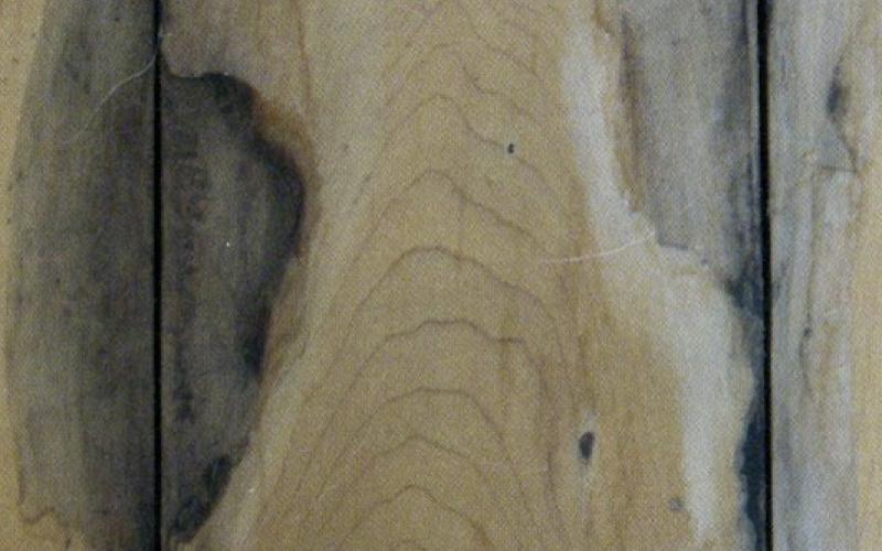 Problemi del legno: marcescenza delle fughe