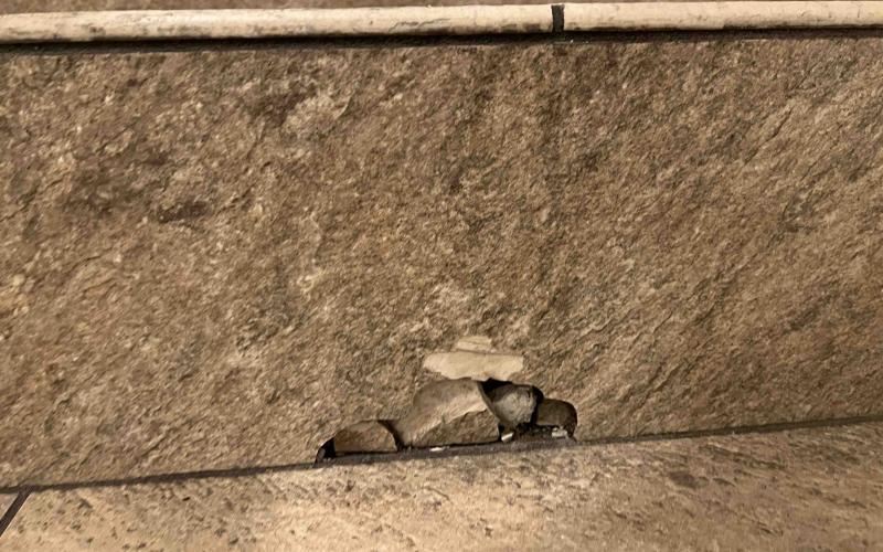 Problemi con le piastrelle: alzate di un gradino danneggiata da urto