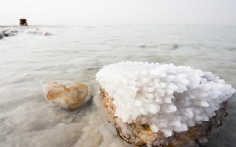 il sale del mar morto