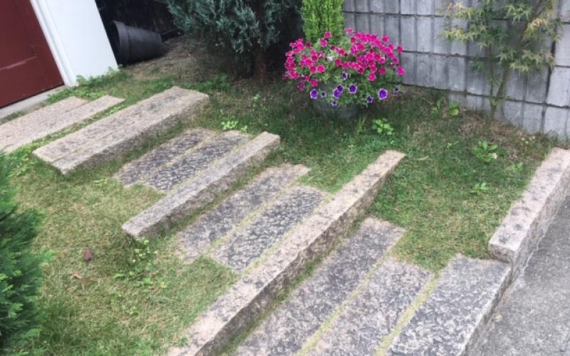 Una scala di cordoli e lastre in un giardino giapponese