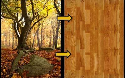 Legno per realizzare pavimenti in legno