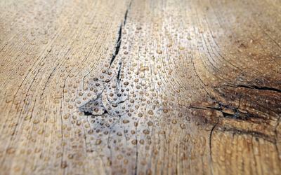 rovere pavimento legno parquet Veneto