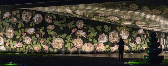 bisazza